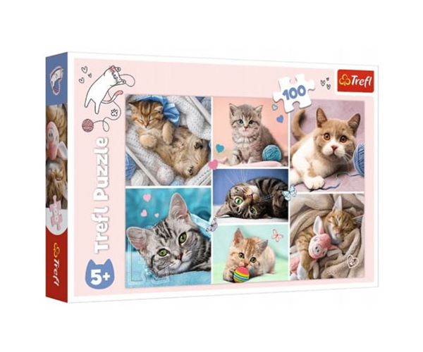 Pisici 100 de bucăți puzzle - Trefl
