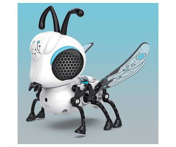 Interaktív roboDongo robot