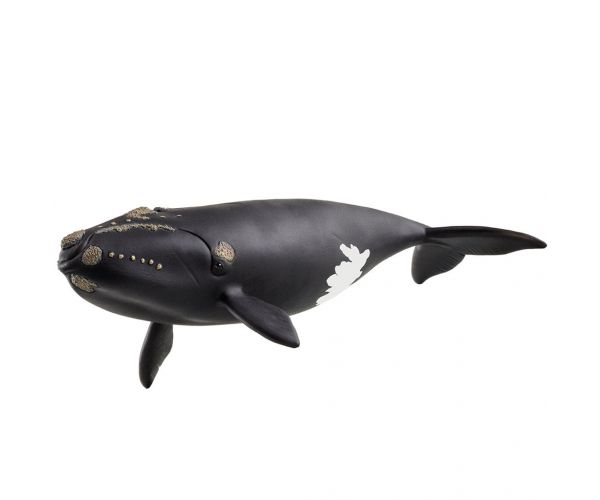 Schleich: Figurină balenă nord-atlantică (14878)