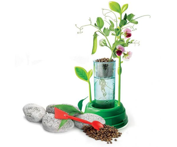 Science&Play: Laborator botanic hidroponic - Clementoni