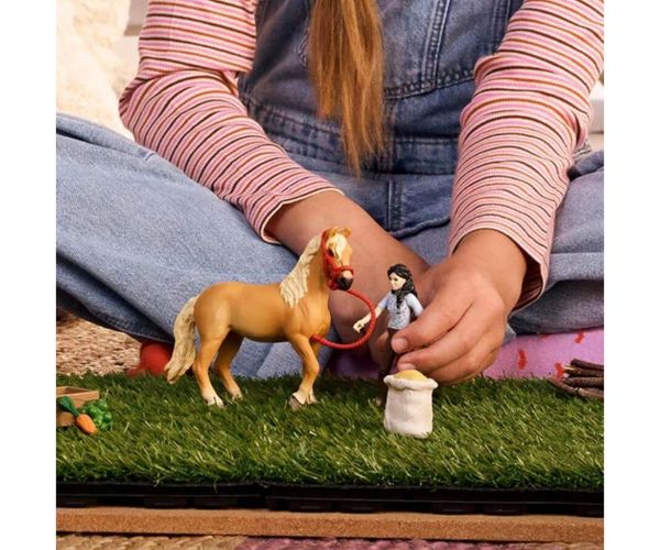 Schleich: Horse Club Setul de îngrijire a calului Emily (42797)