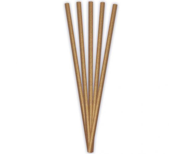 ECO papír szívószál – 20 cm, 24 db-os szett