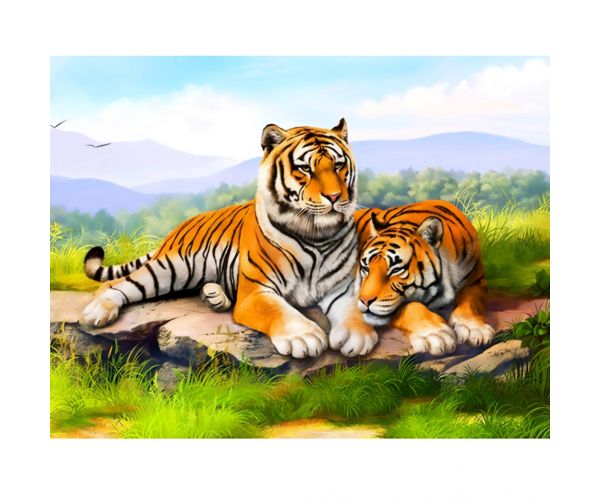 Set de pictură cu diamante: Tigri, 40x50cm