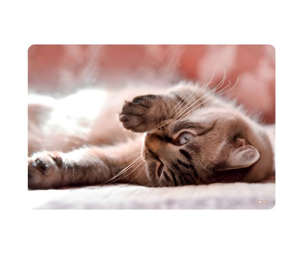 Spirit: Little Cat suport de carte pentru birou 60x40cm