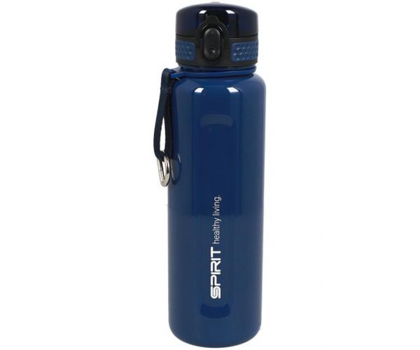 Spirit: Moment sticlă albastră fără BPA 830ml