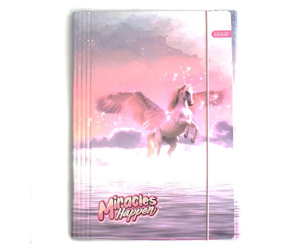 Spirit: Pegasus model mapă cu elastic mărimea A4