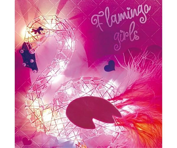 WowBox: Tablou cu Ață cu LED - Flamingo